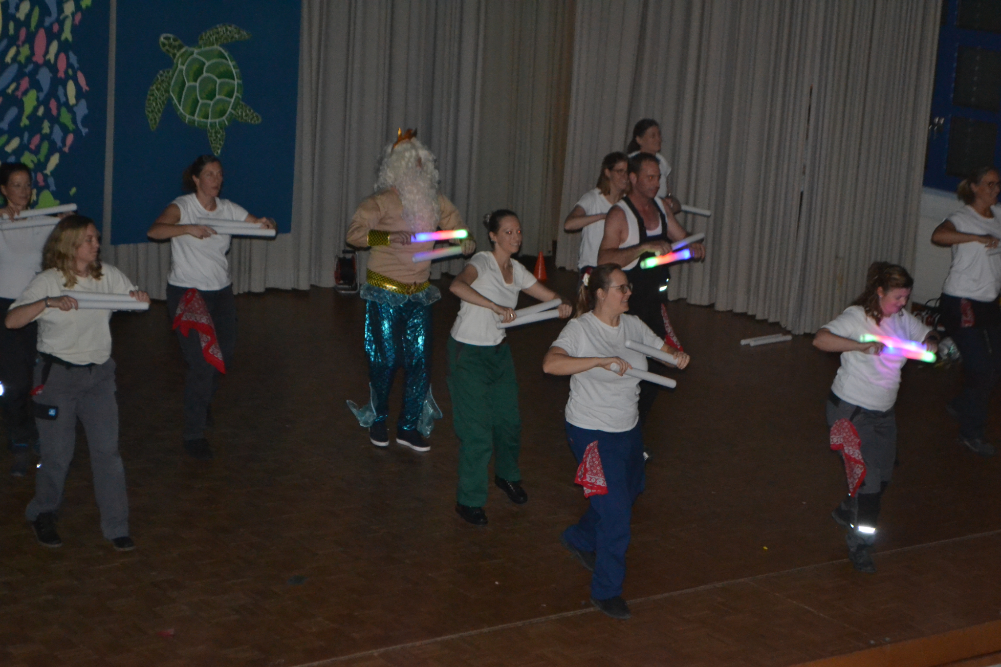 Bild2 (155)